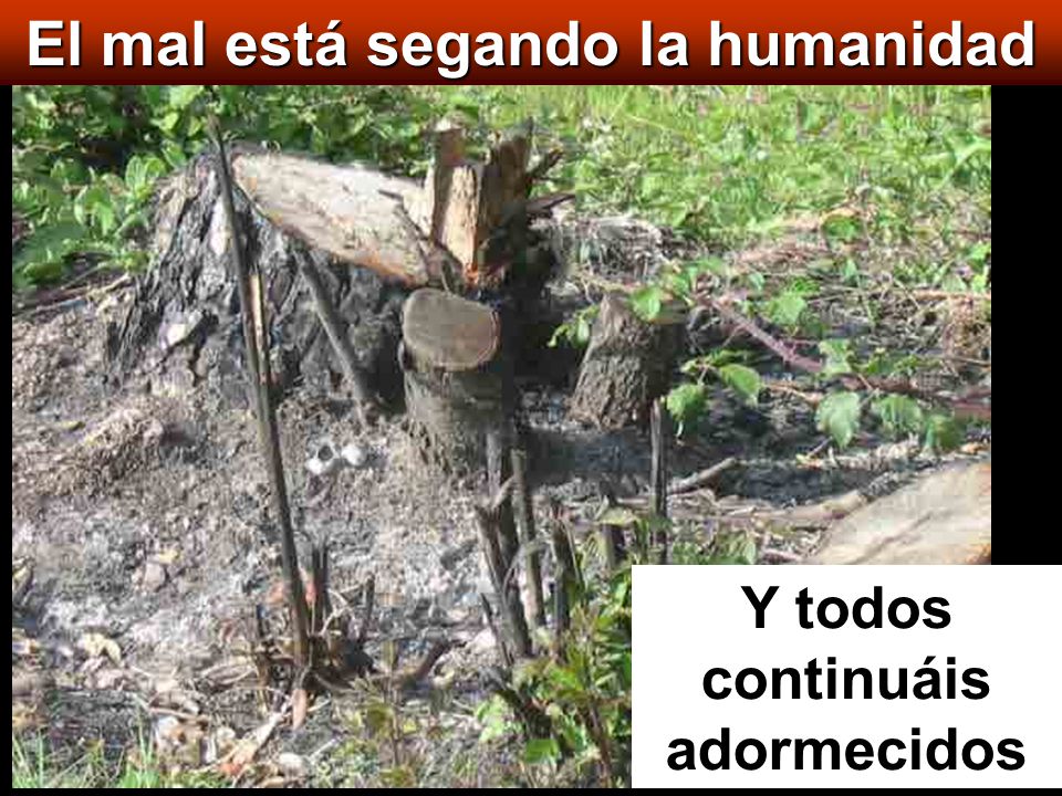 El mal está segando la humanidad Y todos continuáis adormecidos