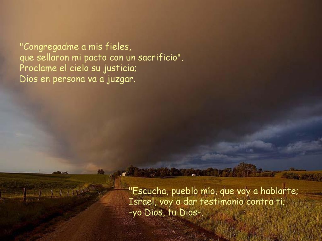 Congregadme a mis fieles, que sellaron mi pacto con un sacrificio