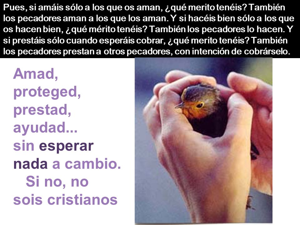 sin esperar nada a cambio. Si no, no sois cristianos