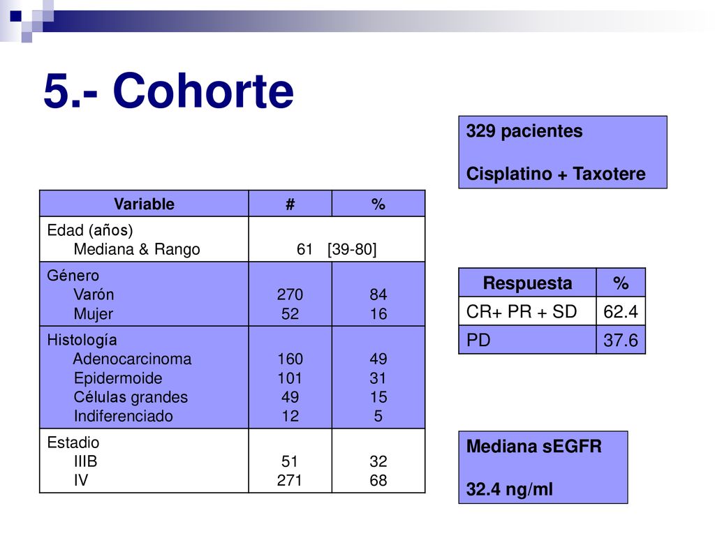 5.- Cohorte 329 pacientes Cisplatino + Taxotere Respuesta %