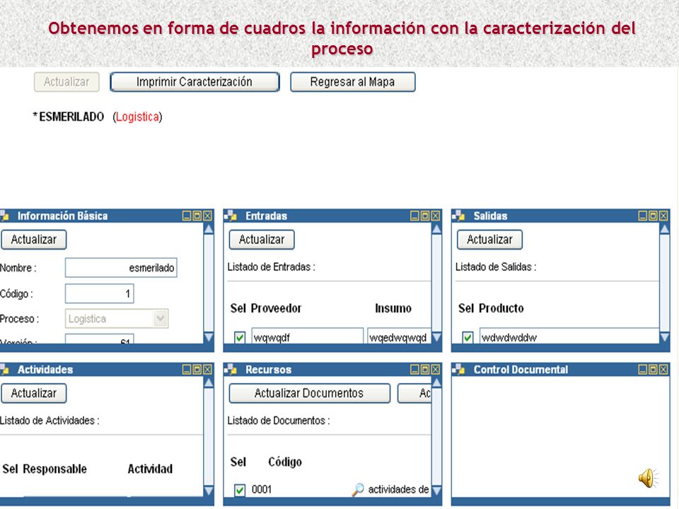 Obtenemos en forma de cuadros la información con la caracterización del proceso