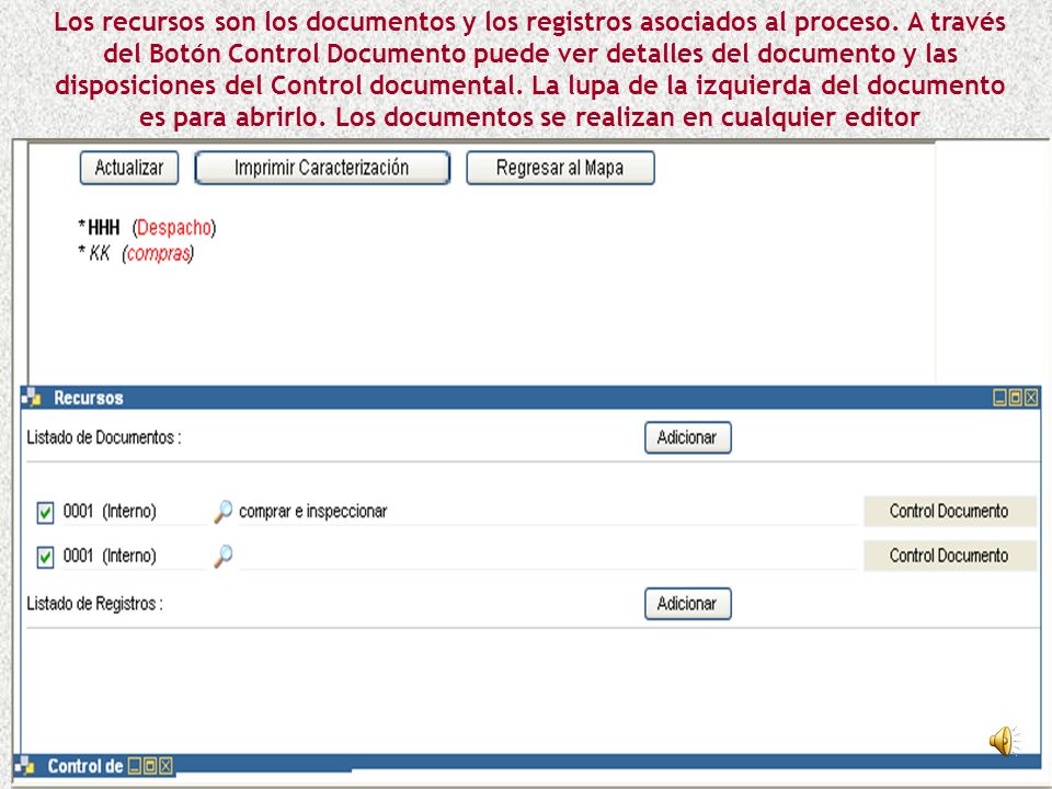 Los recursos son los documentos y los registros asociados al proceso