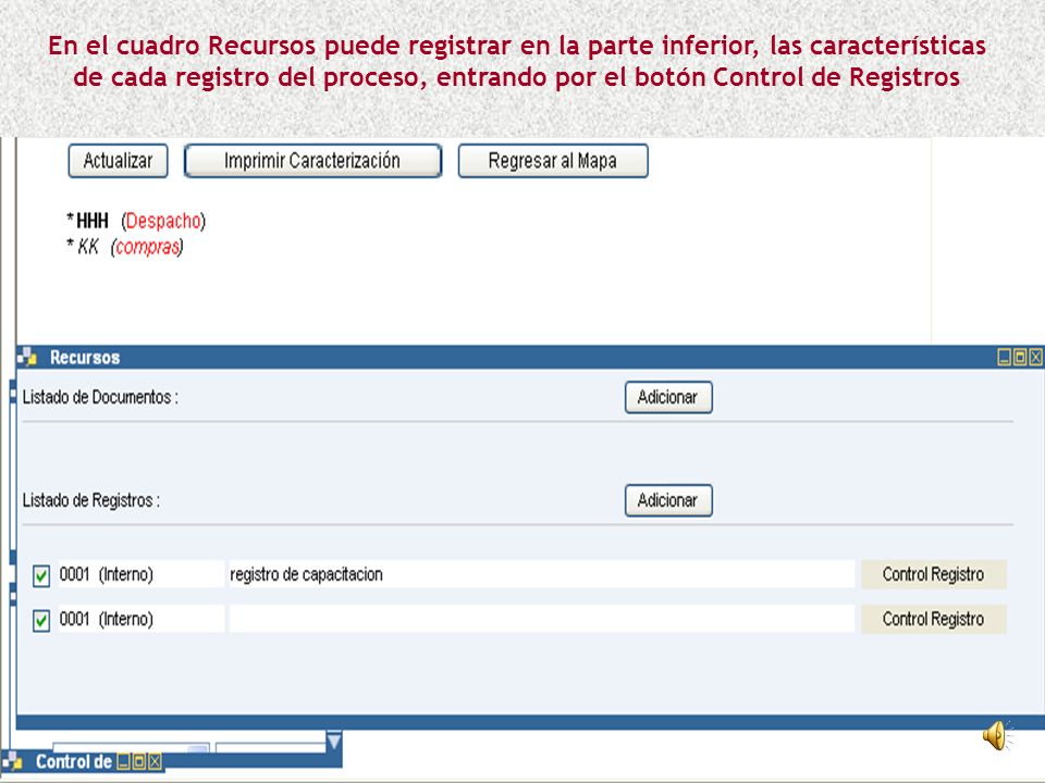 En el cuadro Recursos puede registrar en la parte inferior, las características de cada registro del proceso, entrando por el botón Control de Registros