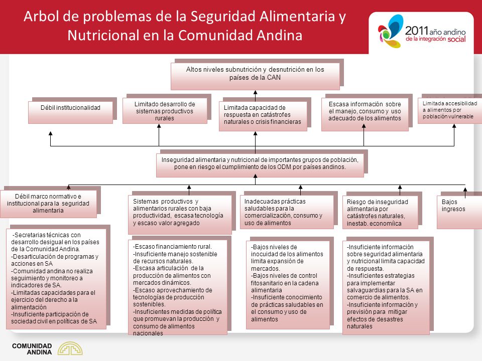 Arbol de problemas de la Seguridad Alimentaria y Nutricional en la Comunidad Andina