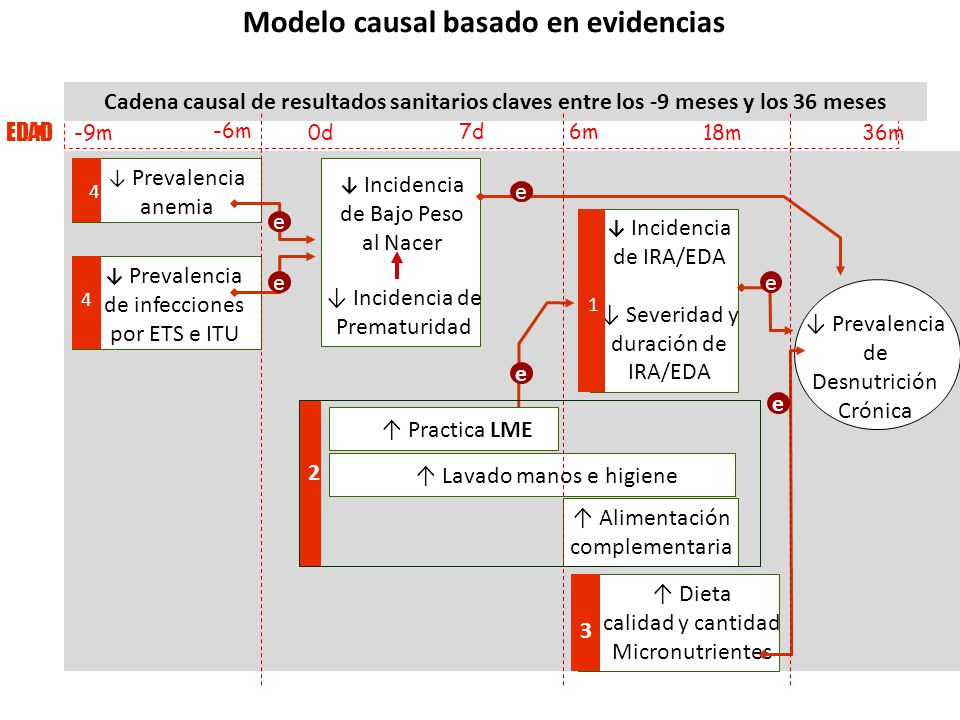 Modelo causal basado en evidencias