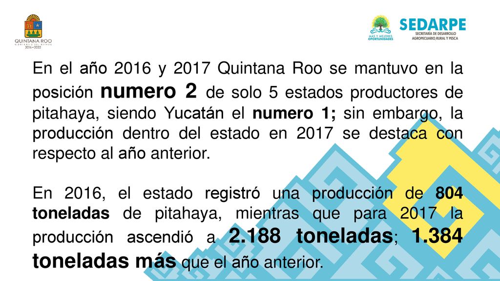 En el año 2016 y 2017 Quintana Roo se mantuvo en la posición numero 2 de solo 5 estados productores de pitahaya, siendo Yucatán el numero 1; sin embargo, la producción dentro del estado en 2017 se destaca con respecto al año anterior.