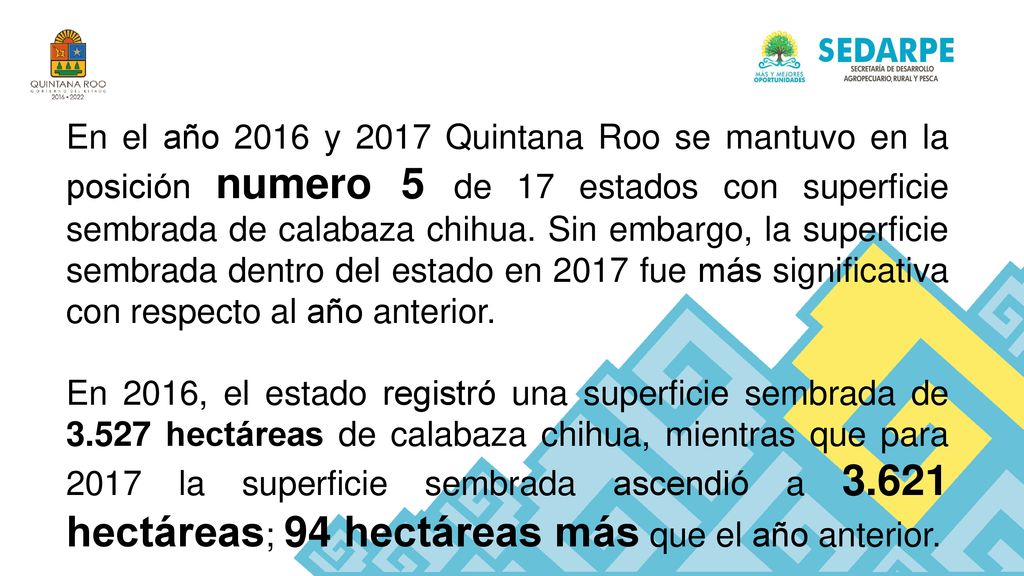 En el año 2016 y 2017 Quintana Roo se mantuvo en la posición numero 5 de 17 estados con superficie sembrada de calabaza chihua. Sin embargo, la superficie sembrada dentro del estado en 2017 fue más significativa con respecto al año anterior.