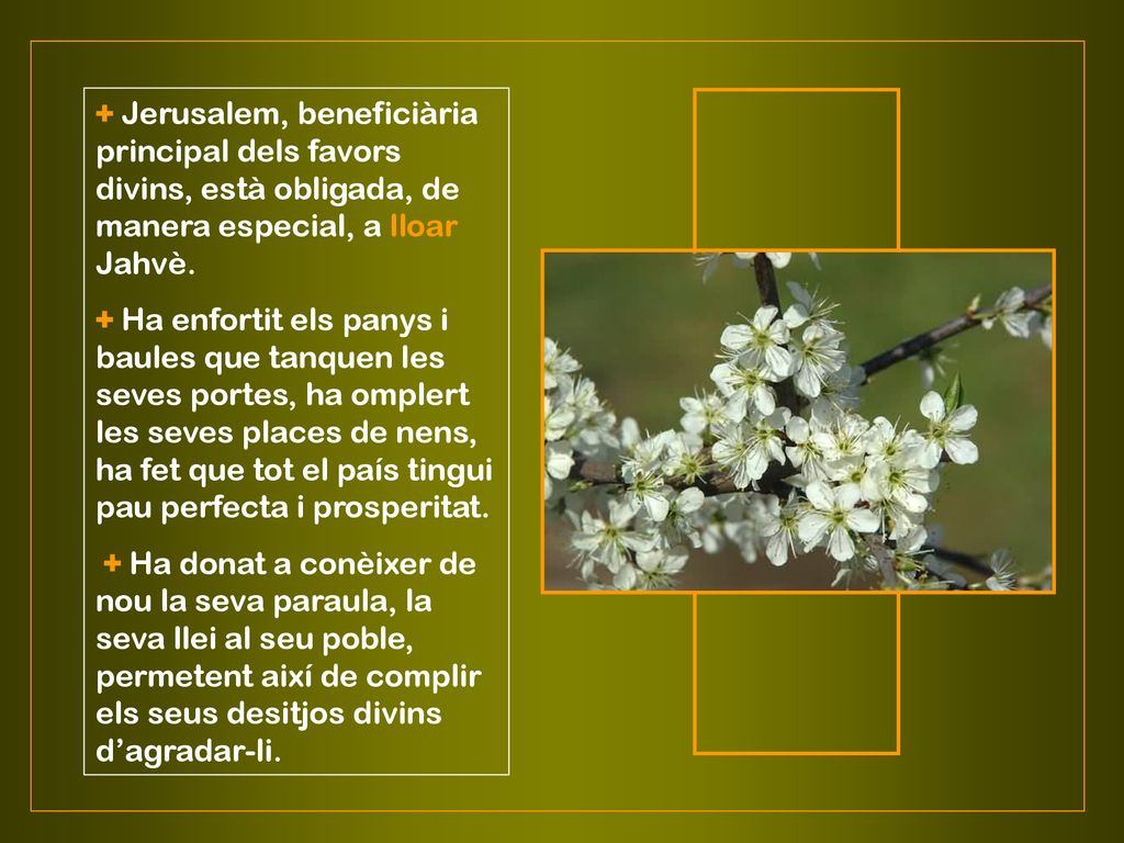 + Jerusalem, beneficiària principal dels favors divins, està obligada, de manera especial, a lloar Jahvè.