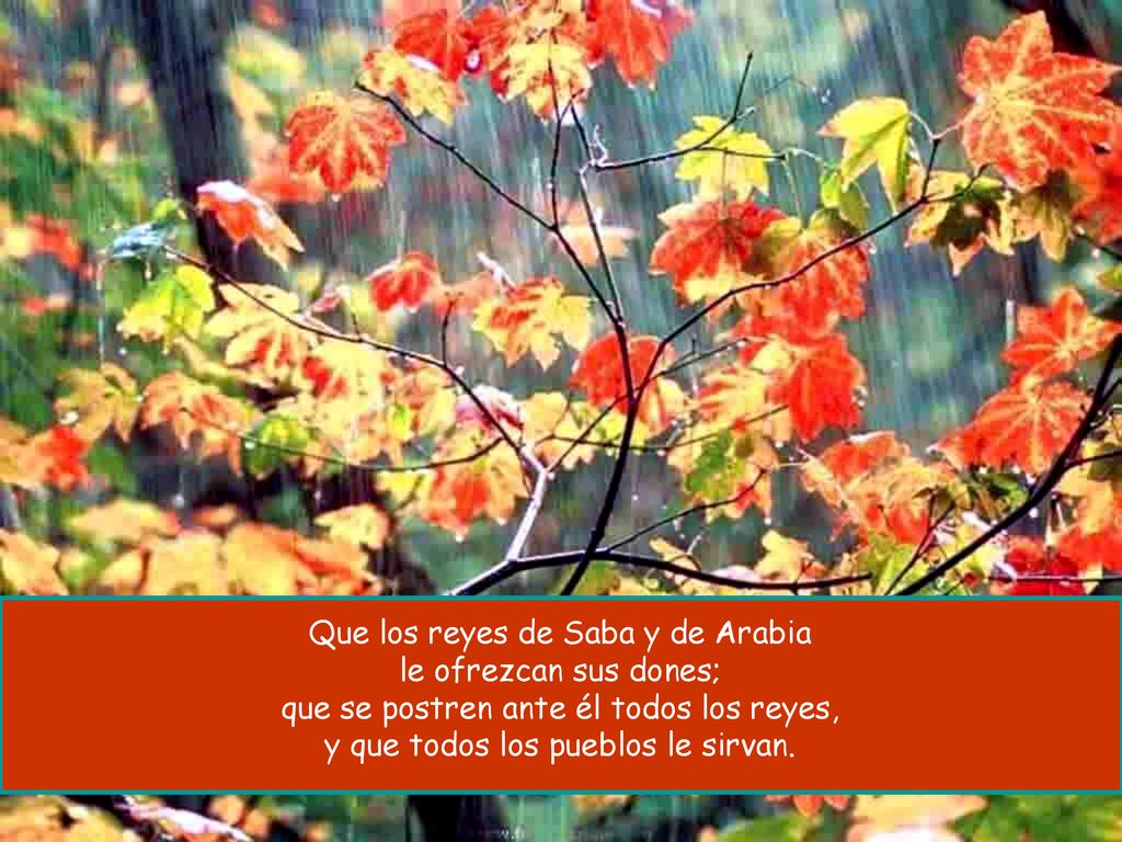 Que los reyes de Saba y de Arabia le ofrezcan sus dones;
