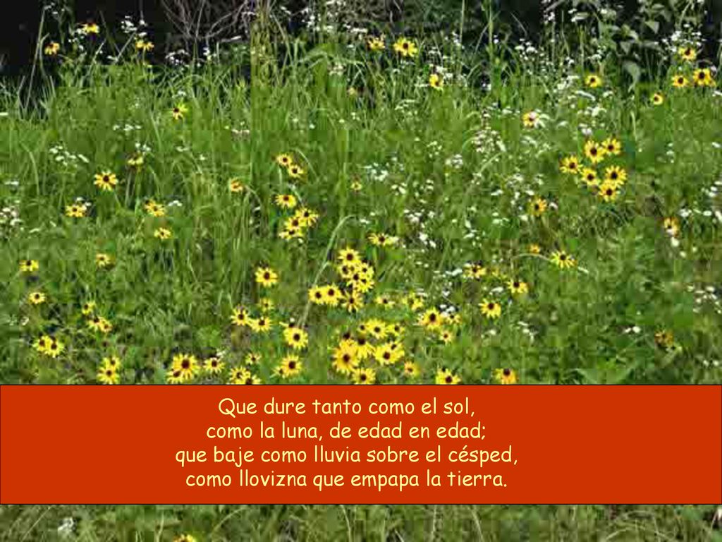Que dure tanto como el sol, como la luna, de edad en edad;