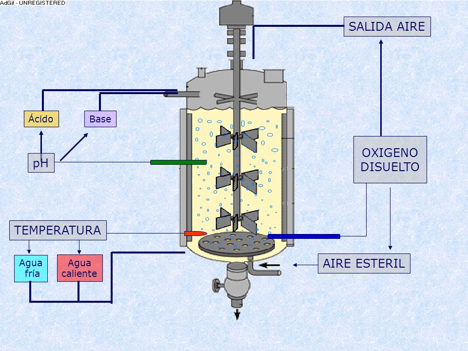 SALIDA AIRE OXIGENO DISUELTO pH TEMPERATURA AIRE ESTERIL Ácido Base