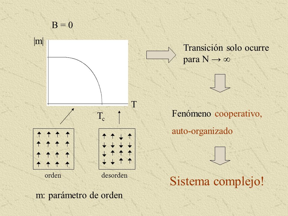 Sistema complejo! B = 0 |m| Transición solo ocurre para N → ∞ T