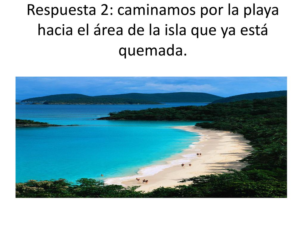 Respuesta 2: caminamos por la playa hacia el área de la isla que ya está quemada.