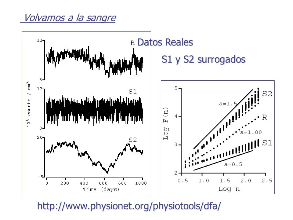Volvamos a la sangre Datos Reales S1 y S2 surrogados