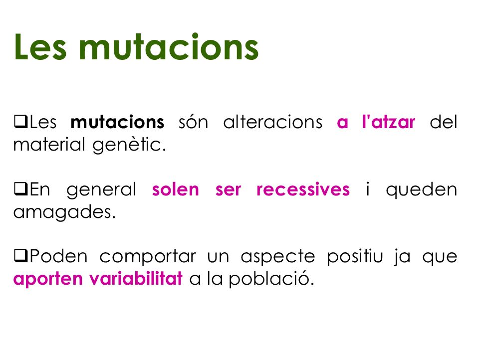 Les mutacions Les mutacions són alteracions a l atzar del material genètic. En general solen ser recessives i queden amagades.