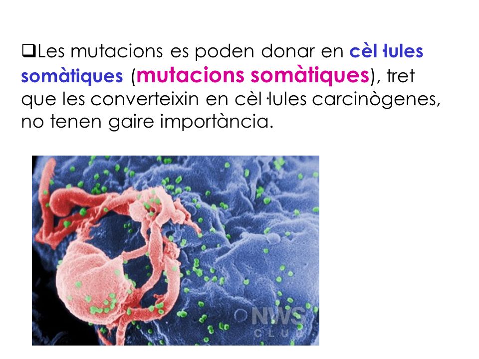 Les mutacions es poden donar en cèl·lules somàtiques (mutacions somàtiques), tret que les converteixin en cèl·lules carcinògenes, no tenen gaire importància.