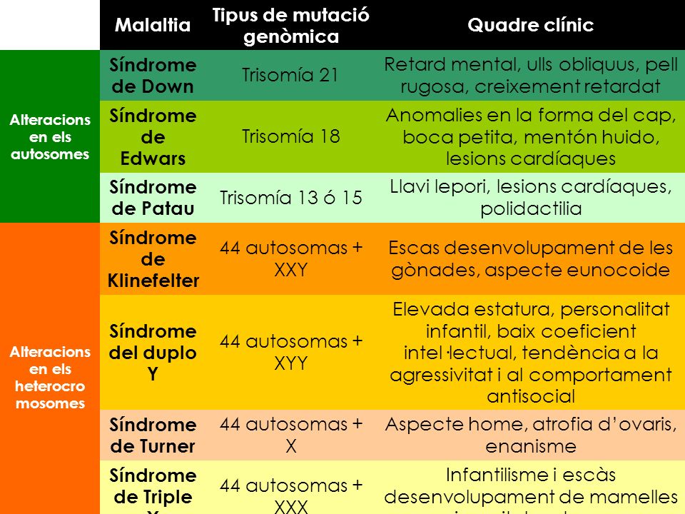 Tipus de mutació genòmica Quadre clínic Síndrome de Down Trisomía 21