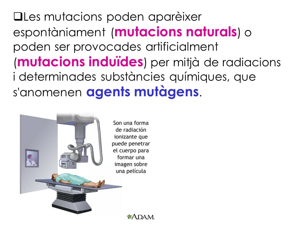 Les mutacions poden aparèixer espontàniament (mutacions naturals) o poden ser provocades artificialment (mutacions induïdes) per mitjà de radiacions i determinades substàncies químiques, que s anomenen agents mutàgens.
