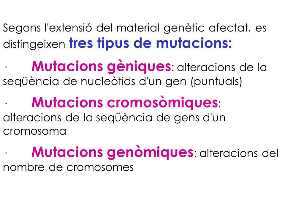 Segons l extensió del material genètic afectat, es distingeixen tres tipus de mutacions: