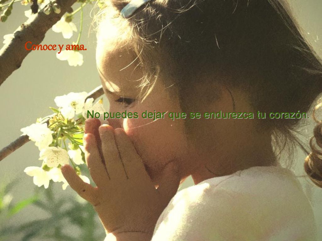 Conoce y ama. No puedes dejar que se endurezca tu corazón.