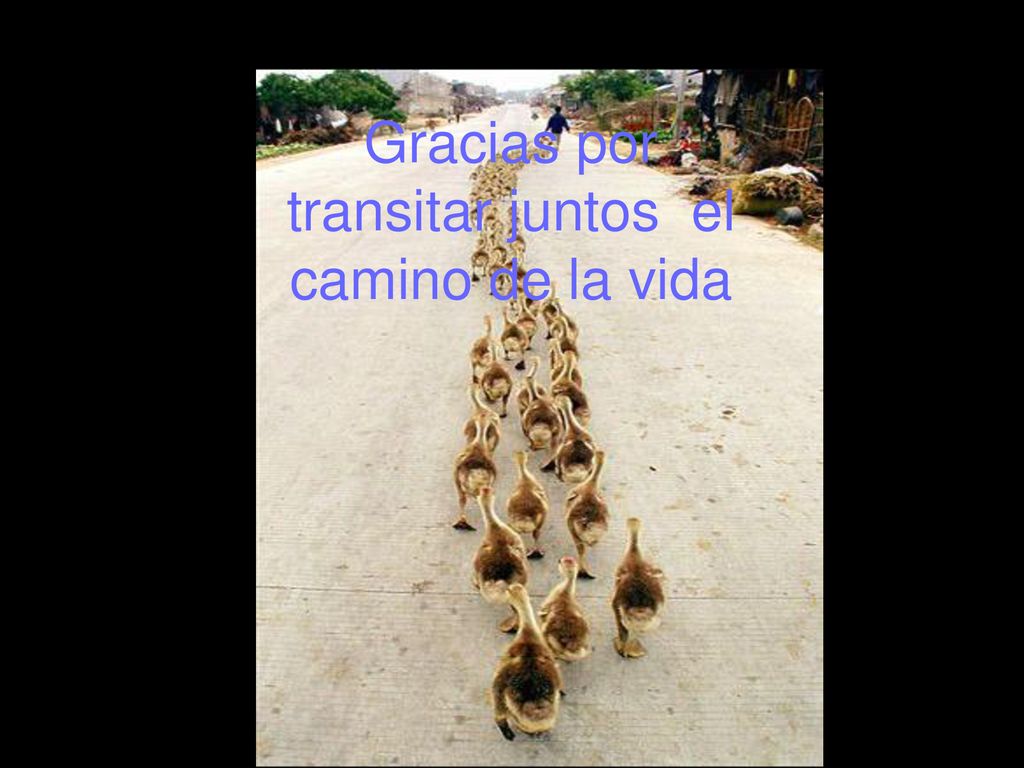Gracias por transitar juntos el camino de la vida