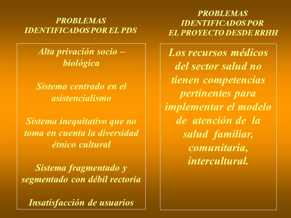 PROBLEMAS IDENTIFICADOS POR. EL PROYECTO DESDE RRHH. PROBLEMAS. IDENTIFICADOS POR EL PDS. Alta privación socio –biológica.