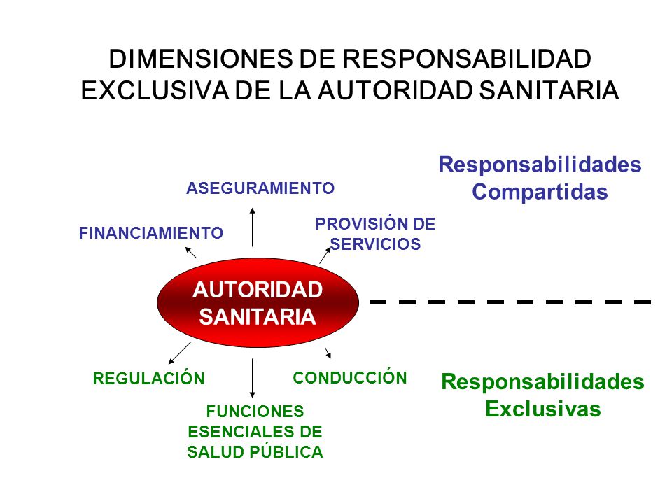 DIMENSIONES DE RESPONSABILIDAD EXCLUSIVA DE LA AUTORIDAD SANITARIA