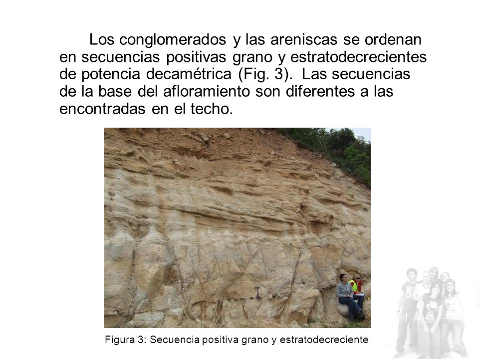 Los conglomerados y las areniscas se ordenan en secuencias positivas grano y estratodecrecientes de potencia decamétrica (Fig. 3). Las secuencias de la base del afloramiento son diferentes a las encontradas en el techo.