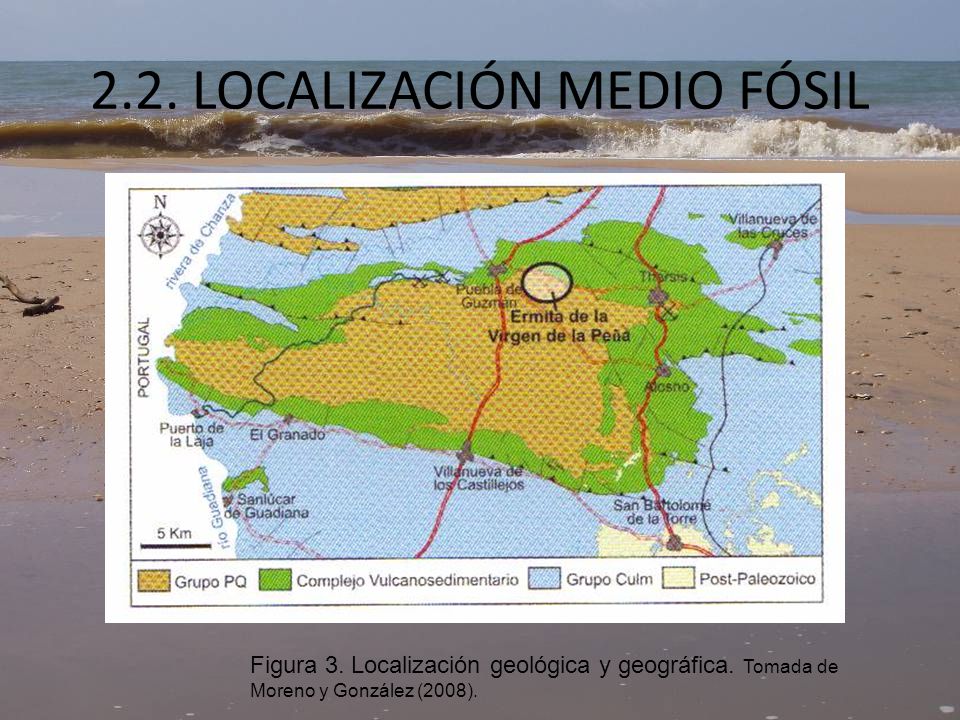 2.2. LOCALIZACIÓN MEDIO FÓSIL
