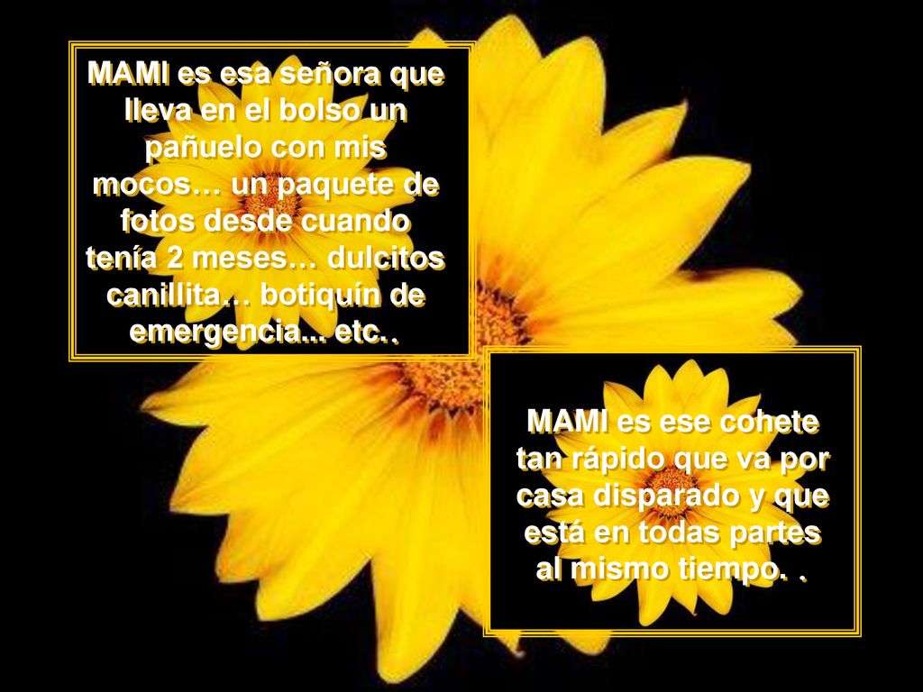MAMI es esa señora que lleva en el bolso un pañuelo con mis mocos… un paquete de fotos desde cuando tenía 2 meses… dulcitos canillita… botiquín de emergencia... etc..
