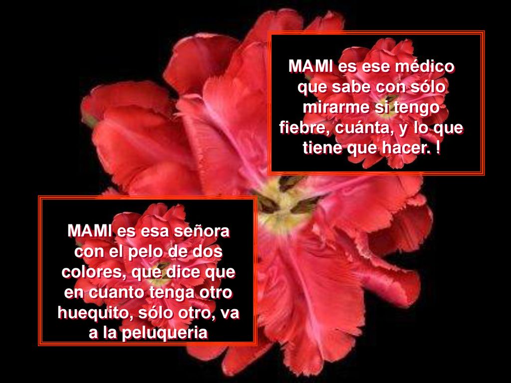 MAMI es ese médico que sabe con sólo mirarme si tengo fiebre, cuánta, y lo que tiene que hacer. !