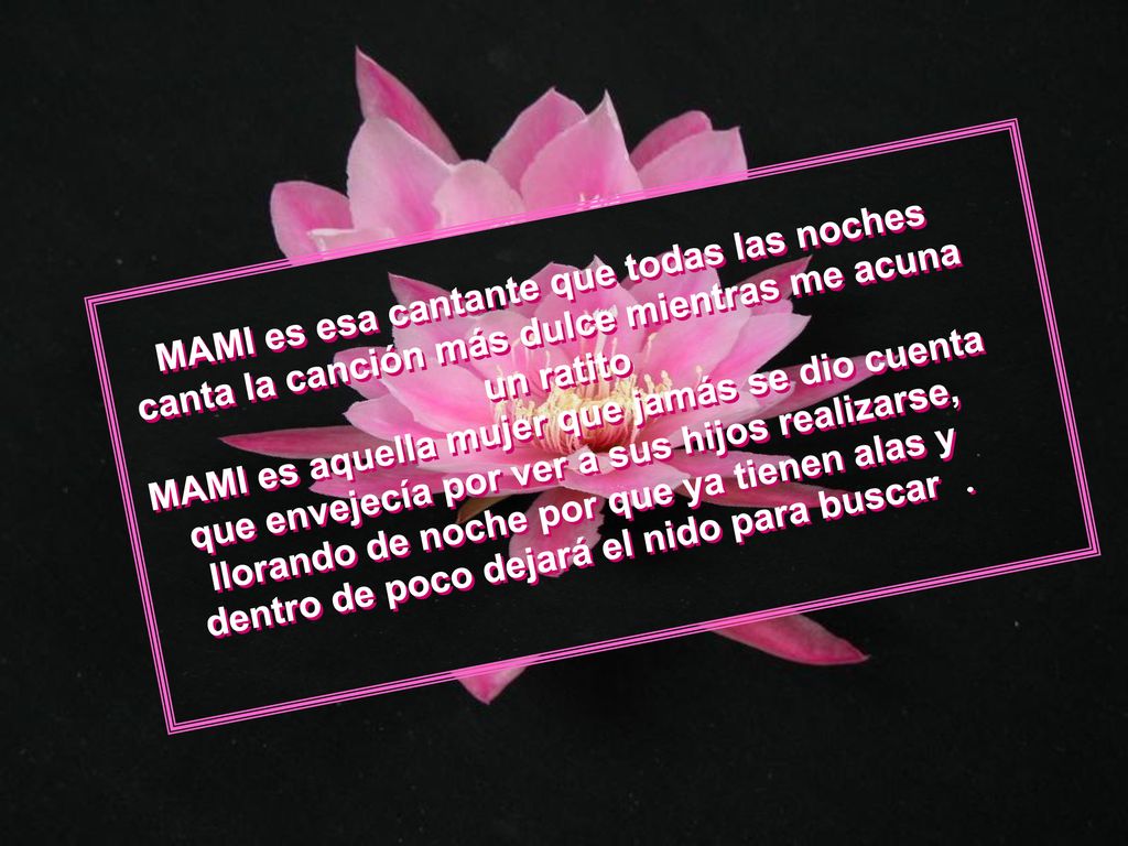 MAMI es esa cantante que todas las noches canta la canción más dulce mientras me acuna un ratito