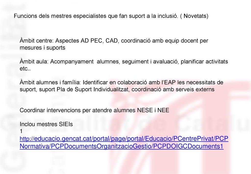 Funcions dels mestres especialistes que fan suport a la inclusió