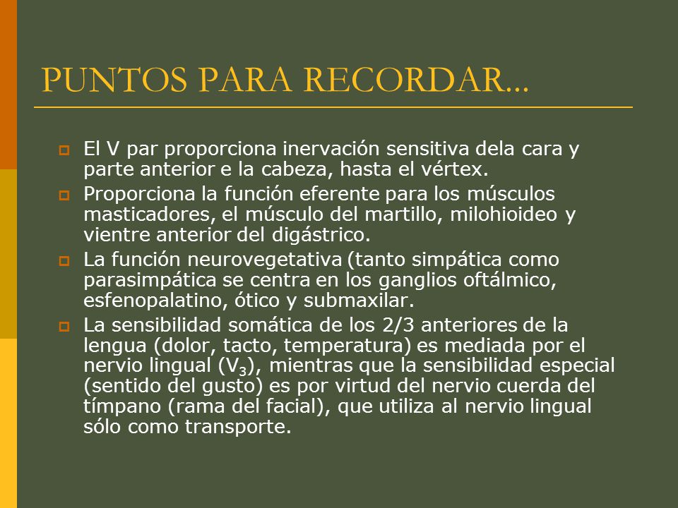 PUNTOS PARA RECORDAR... El V par proporciona inervación sensitiva dela cara y parte anterior e la cabeza, hasta el vértex.