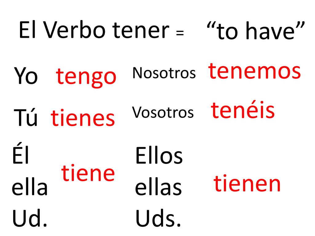 El Verbo tener = to have tenemos Yo tengo tenéis Tú tienes