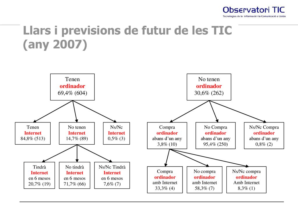Llars i previsions de futur de les TIC (any 2007)