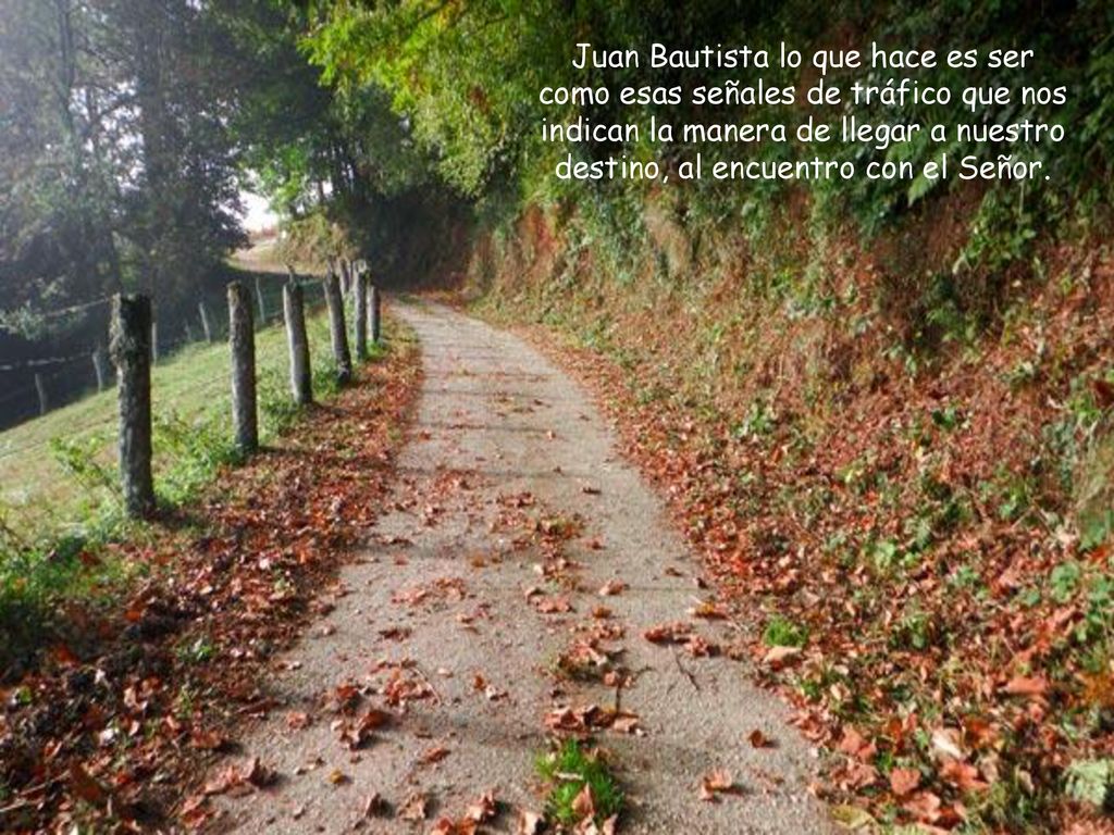 Juan Bautista lo que hace es ser como esas señales de tráfico que nos indican la manera de llegar a nuestro destino, al encuentro con el Señor.