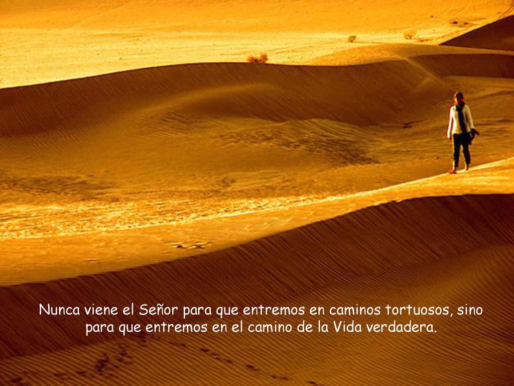 Nunca viene el Señor para que entremos en caminos tortuosos, sino para que entremos en el camino de la Vida verdadera.