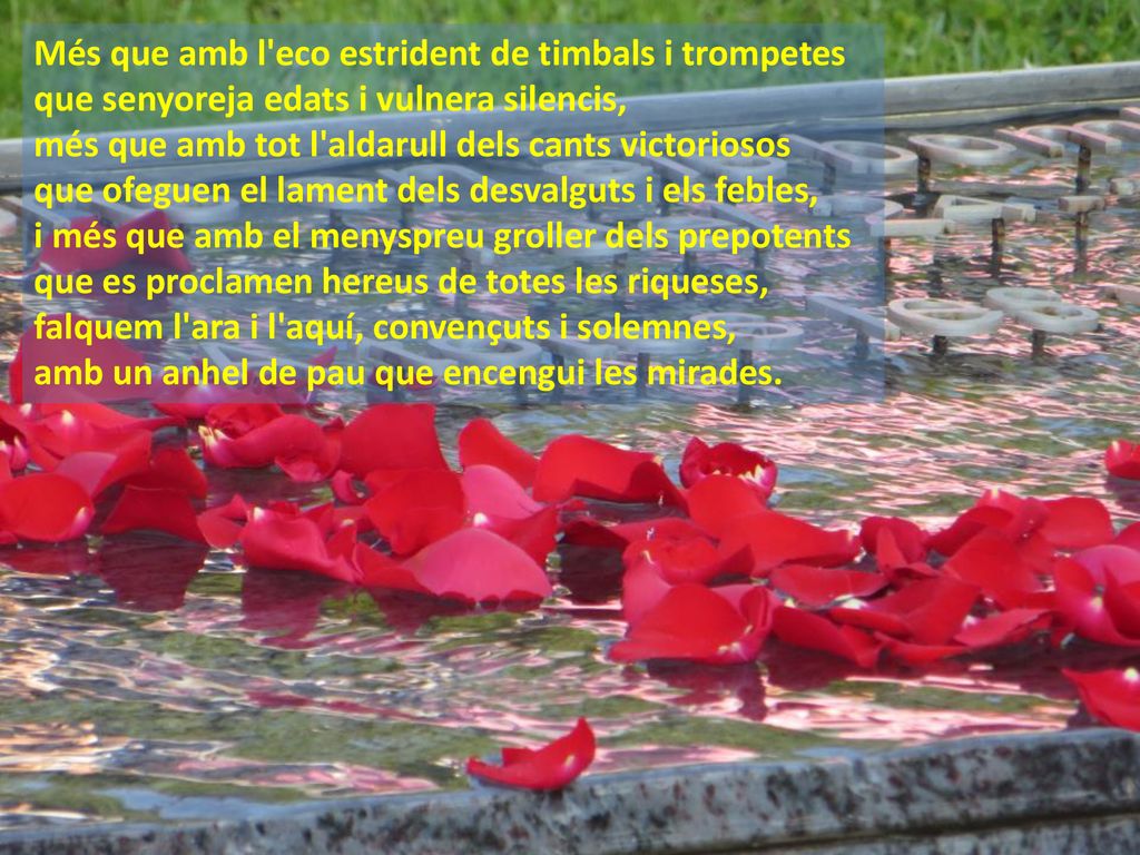 Més que amb l eco estrident de timbals i trompetes que senyoreja edats i vulnera silencis, més que amb tot l aldarull dels cants victoriosos que ofeguen el lament dels desvalguts i els febles, i més que amb el menyspreu groller dels prepotents que es proclamen hereus de totes les riqueses, falquem l ara i l aquí, convençuts i solemnes, amb un anhel de pau que encengui les mirades.