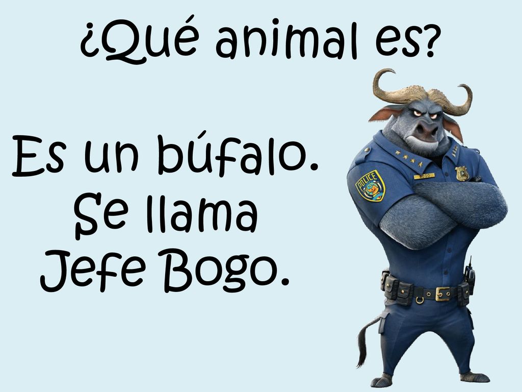 ¿Qué animal es Es un búfalo. Se llama Jefe Bogo.