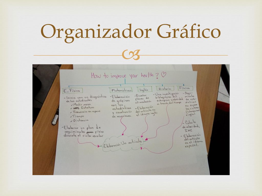 Organizador Gráfico