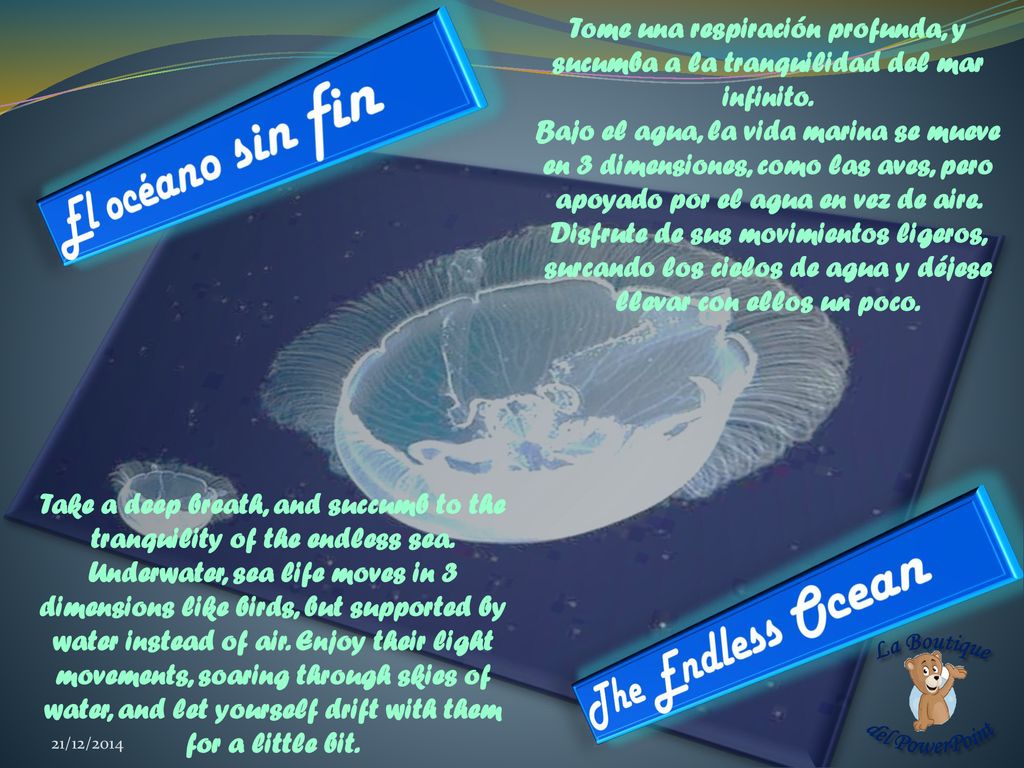 Take a deep breath, and succumb to the tranquility of the endless sea.