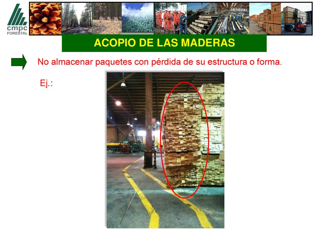 ACOPIO DE LAS MADERAS No almacenar paquetes con pérdida de su estructura o forma. Ej.: