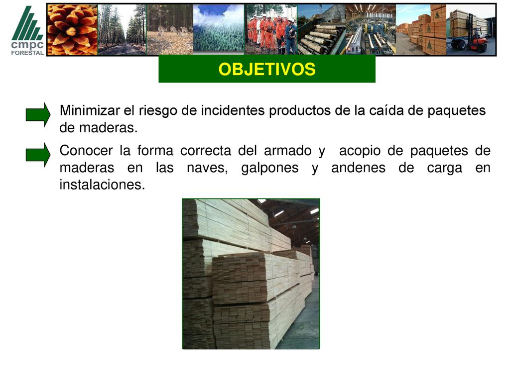 OBJETIVOS Minimizar el riesgo de incidentes productos de la caída de paquetes de maderas.