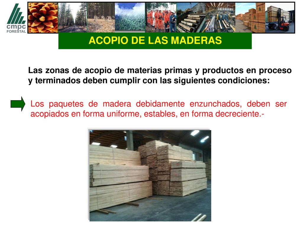 ACOPIO DE LAS MADERAS Las zonas de acopio de materias primas y productos en proceso y terminados deben cumplir con las siguientes condiciones: