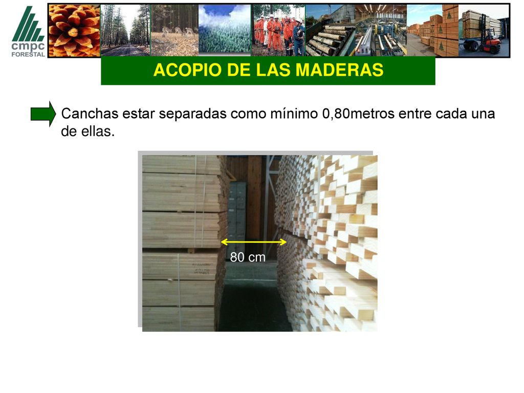 ACOPIO DE LAS MADERAS Canchas estar separadas como mínimo 0,80metros entre cada una de ellas. 80 cm