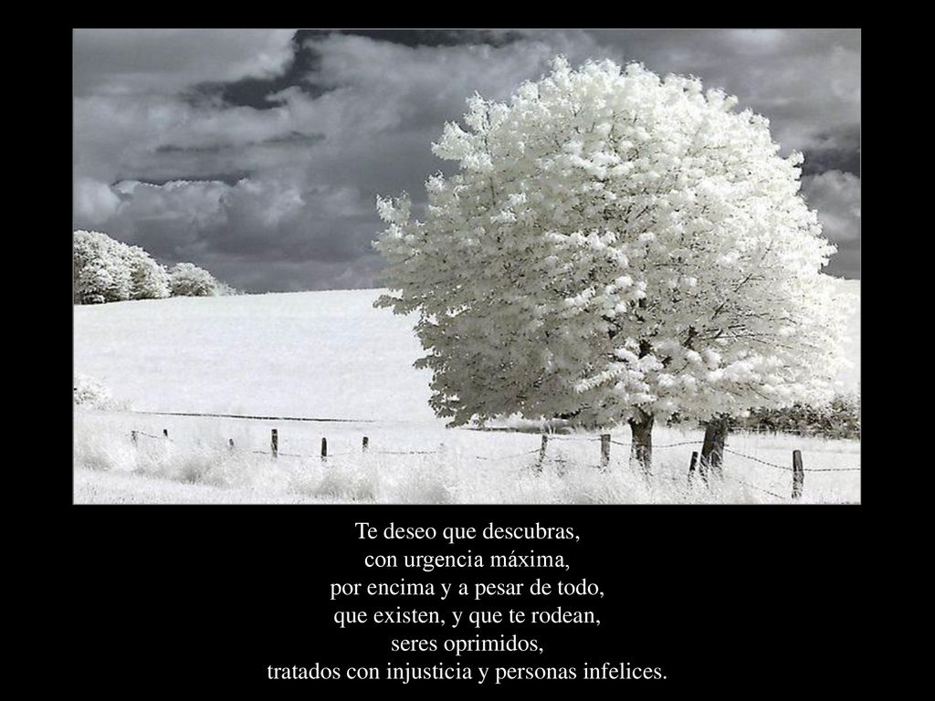 Te deseo que descubras, con urgencia máxima, por encima y a pesar de todo, que existen, y que te rodean, seres oprimidos, tratados con injusticia y personas infelices.