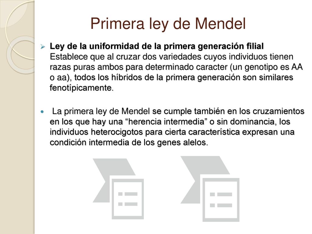 Primera ley de Mendel Ley de la uniformidad de la primera generación filial.