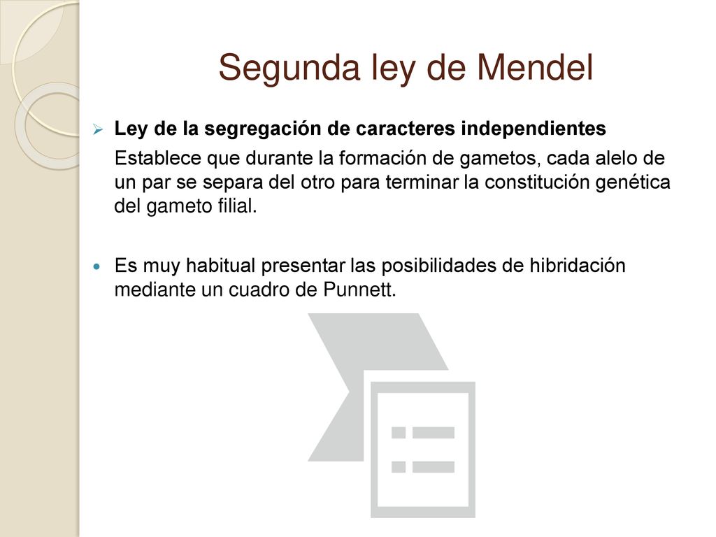 Segunda ley de Mendel Ley de la segregación de caracteres independientes.