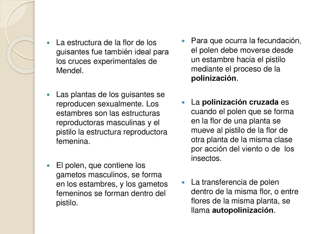 La estructura de la flor de los guisantes fue también ideal para los cruces experimentales de Mendel.